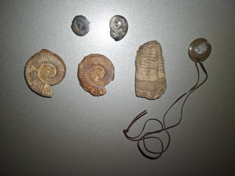 Skameneliny mix, 