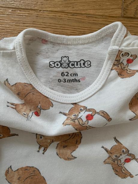 Body s veveričkami, pepco,62