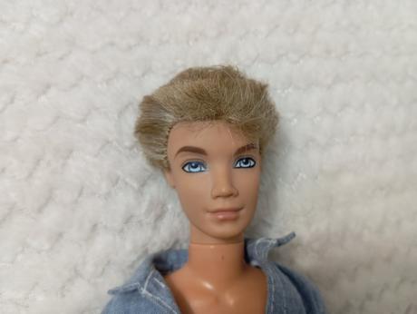 Barbie my scene chlapci ken, 