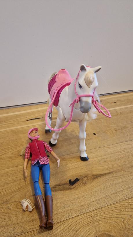 Mattel babika barbie a interaktivny kon dreamhorse, 