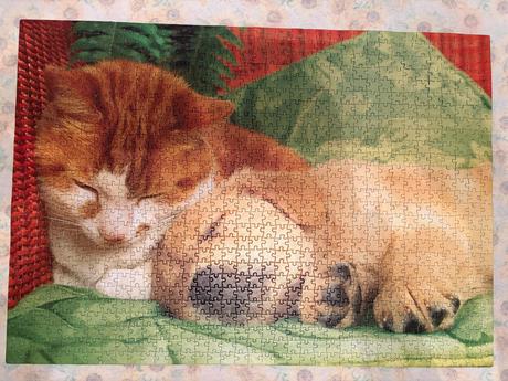 Puzzle mačka a pes 1000, 