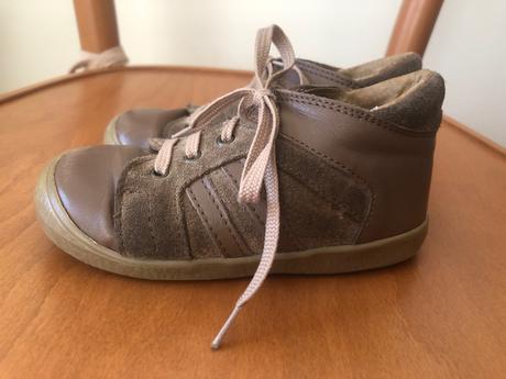 Celokožené rak - 23, rak,23