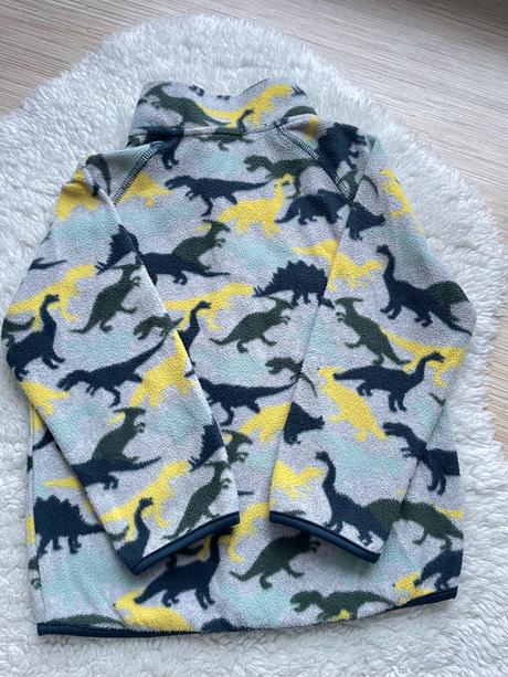 Farebna flisova mikina dinosaury h&m, h&m,98