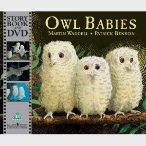 Owl babies zositkova + dvd  njul18, 