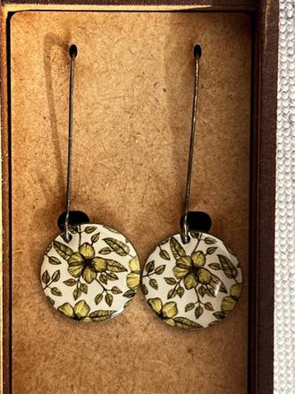 Nausnice v darcekovej krabicke,