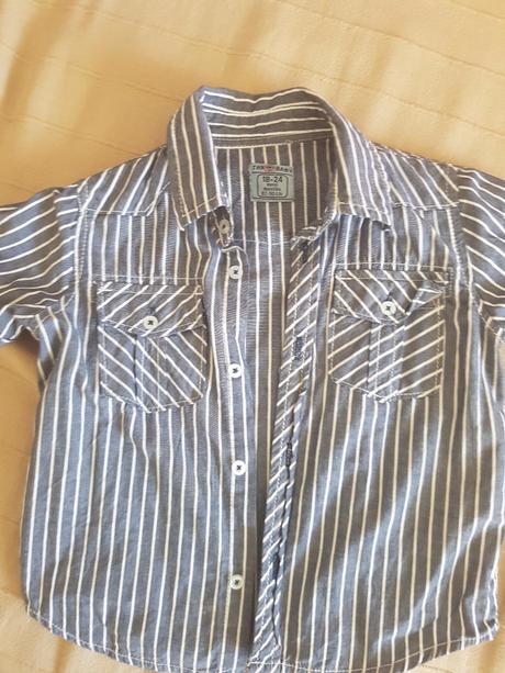 Kosela, terranova,86