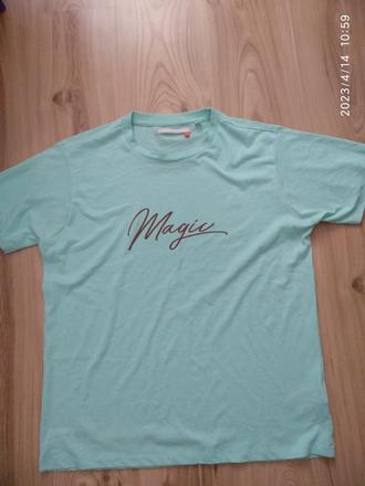 Tricko mint, m