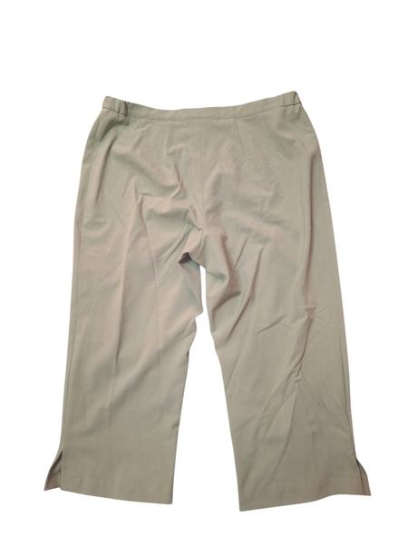 Dámske trištvrťáky, 50