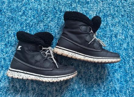 Snehule sorel, sorel,37