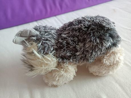 Plyšový psík, 