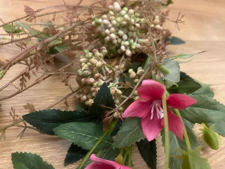 Cyklámenový kvietok,