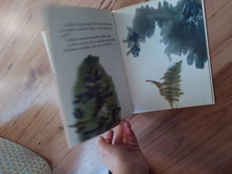 Neulet vtáčik rozpravky,