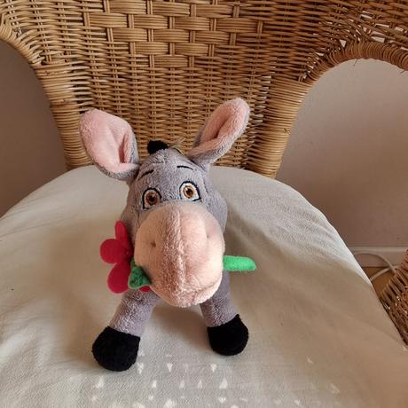 Plysovy somarik(nie temu), 