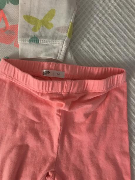 Leginy lososové, pepco,74