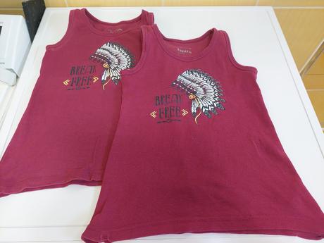 Tielka zn.lupilu, 110