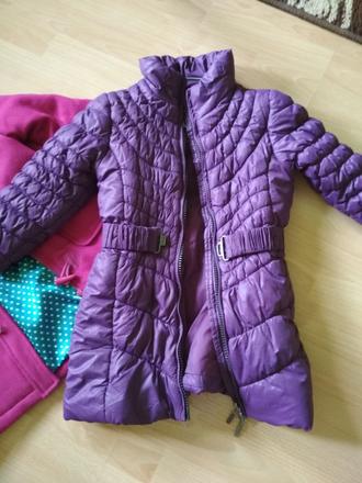 Vetrovečka idexe, idexe,104