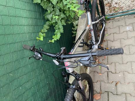 Bicykel kona lana silver 2021 (29), kona,26