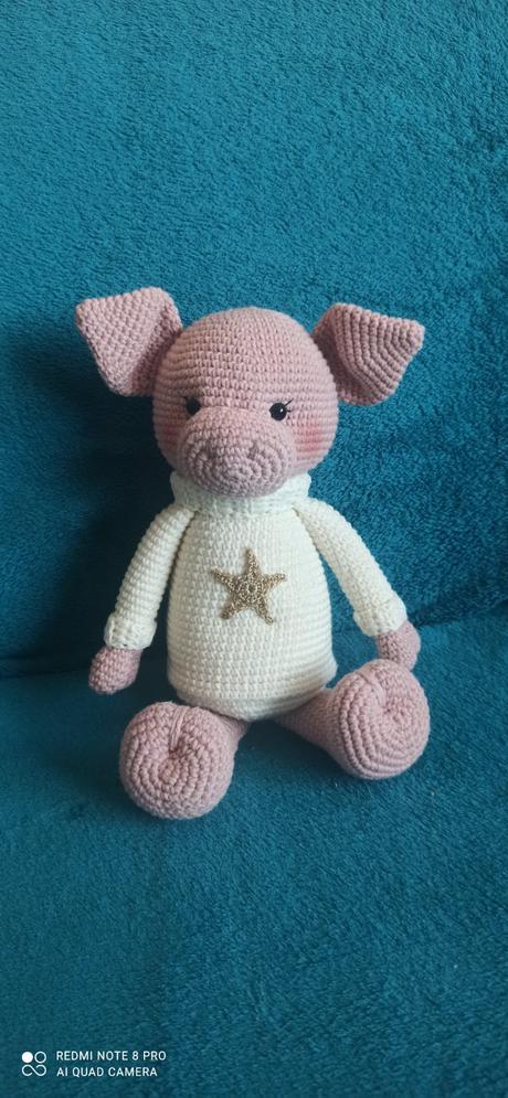 Prasiatko na darovanie peňazí, 