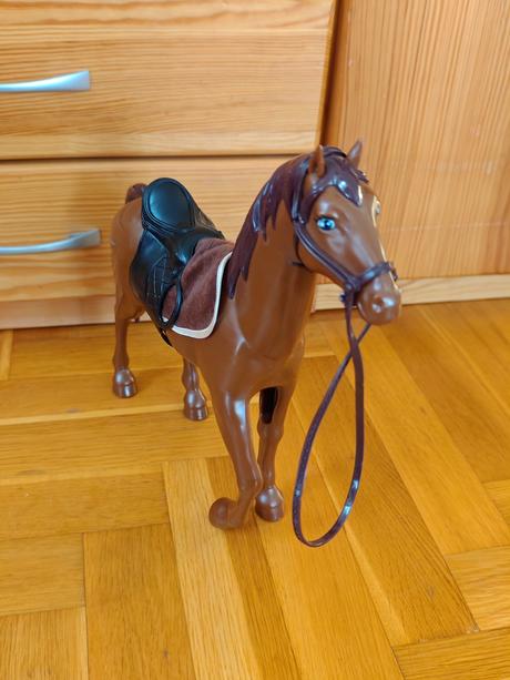 Konik, 