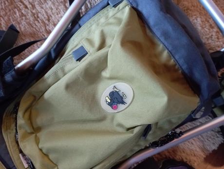 Salewa nosič zelený, 