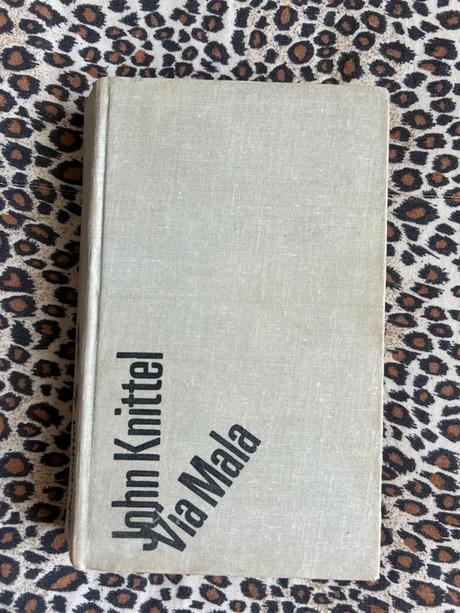 Mladý muž a biela veľryba - vladimír páral,