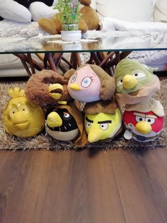 Angry birds,