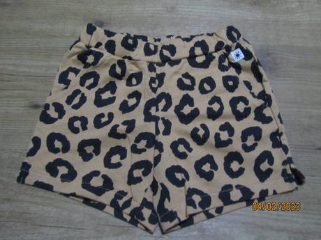 Sortky lindex, lindex,110