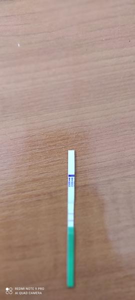 Ovulačný test dr. Max