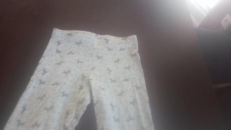 Konikove leginy, f&f,122