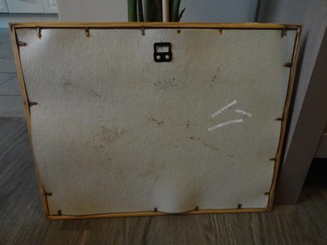 Egyptský papyrus - obraz, 