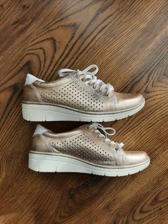 Poltopánky, lasocki,37