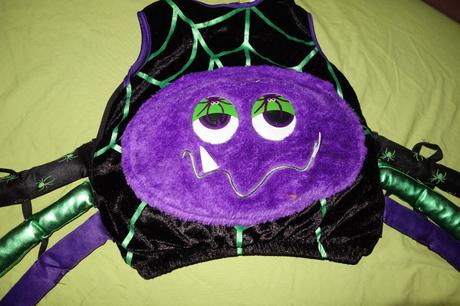 Kostym pavucika od tu, 