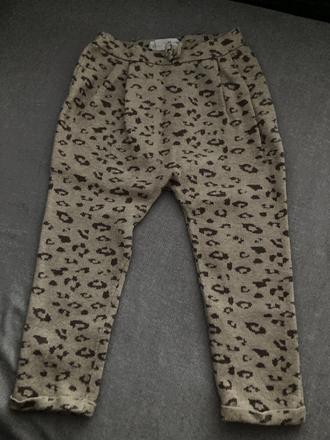 Nohavice zara, zara,104