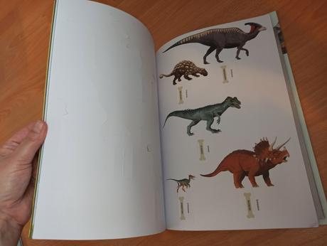 Terrific timelines dinosaurs, 