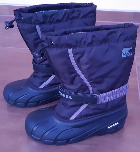 Snehule sorel, sorel,38