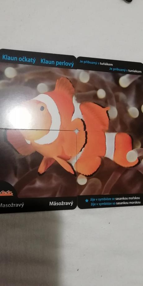 4 sady multifunkčných karticiek - aj, matematika,, 