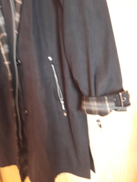 Prechodný jarník--38, 38