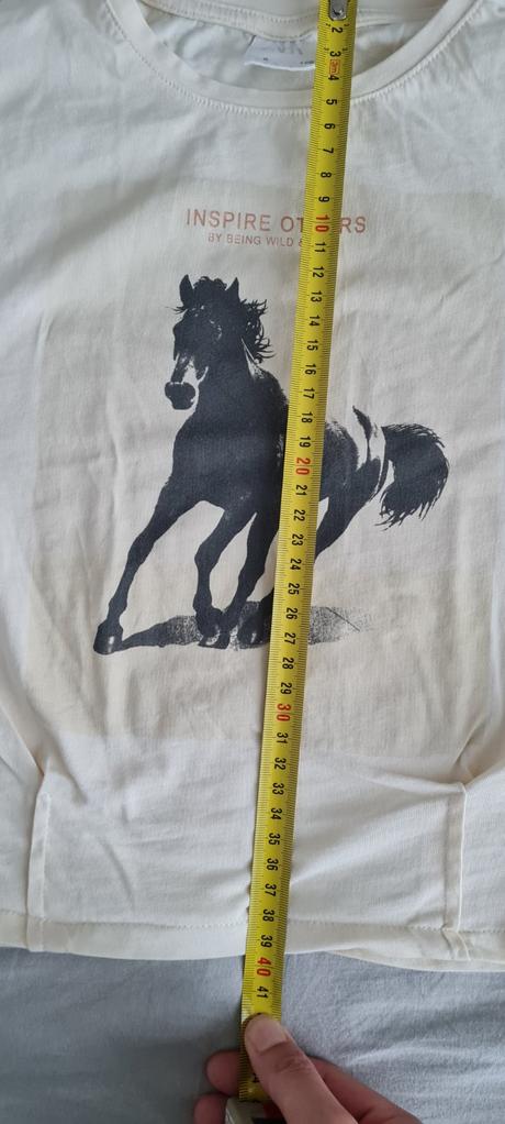 Zara tričko s logom koňa, zara,128