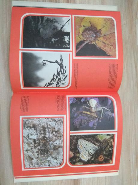 Zvieratá nie sú také,