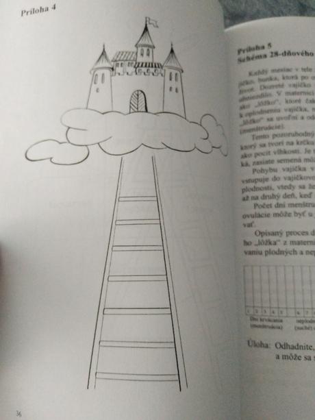Výchova k manželstvu a rodičovstvu,