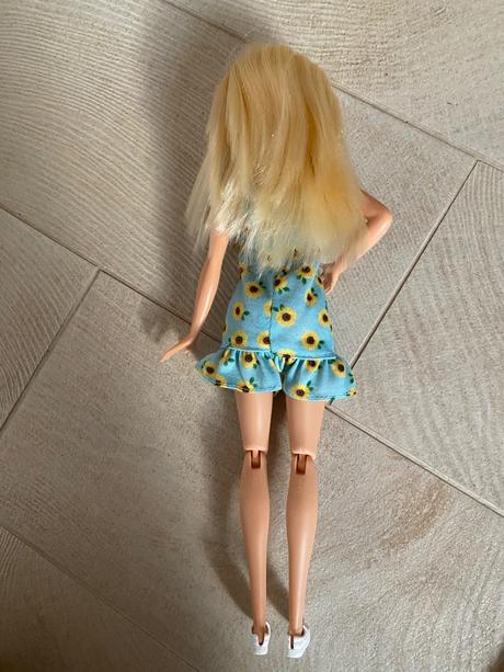 Barbie so psíkmi a výroba kostičiek,