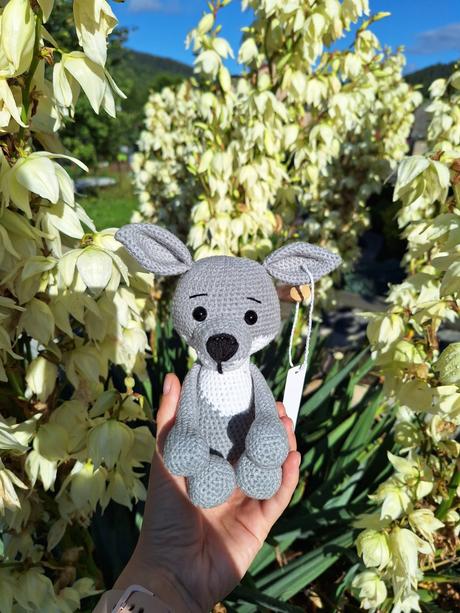 Háčkovaný vĺčik, 