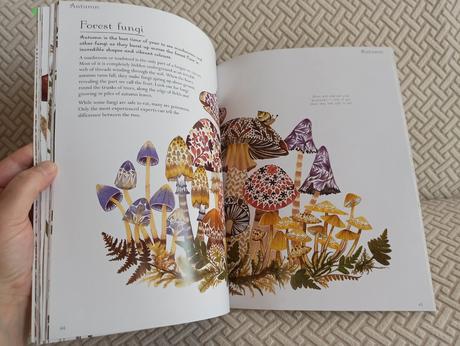 Helen aphornsiri - a year in the wild, 