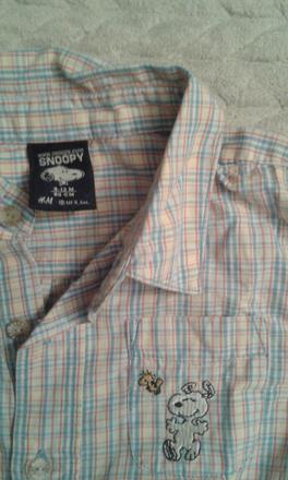 Košeľa snoopy, h&m,80
