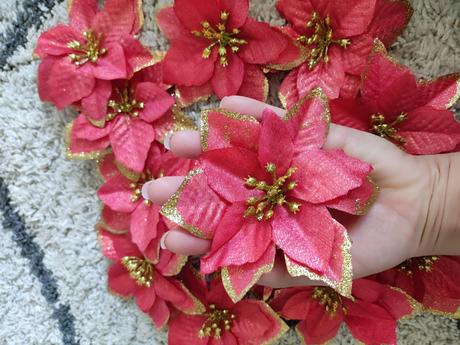 10ks červená vianočná ruža,