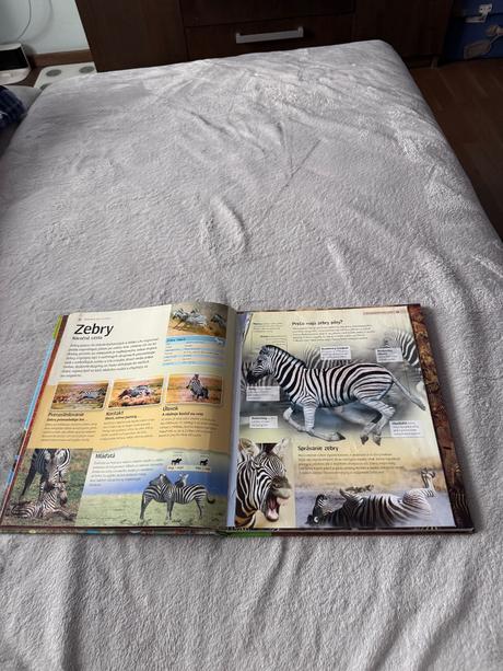 Zvieratá na cestach, 