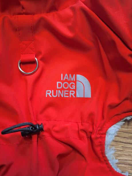 Bundička pre psíka, 