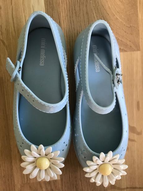 Mini mellisa, melissa,28