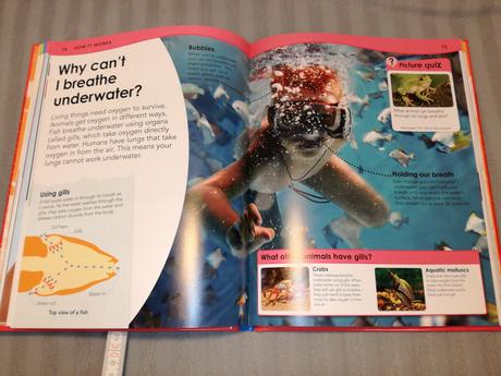 Why si blood red   sp22, 