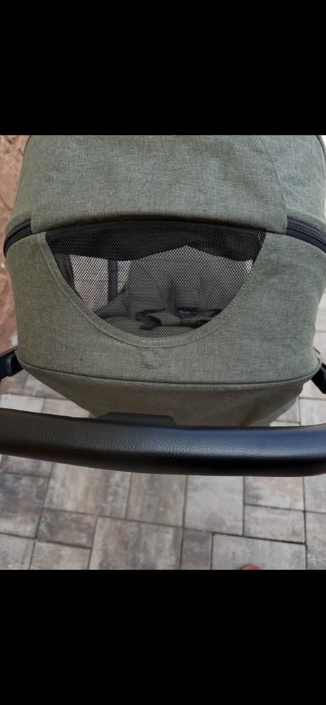 Moon zac, moon,moon zac